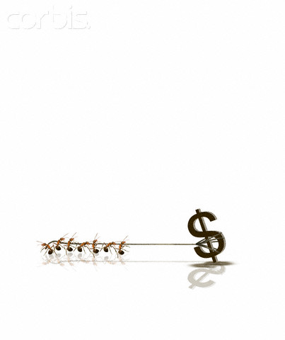 Ants Pulling Dollar Sign